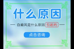 白斑初期到底能不能治得好？白殿疯更新治疗方法-正确治疗方法有